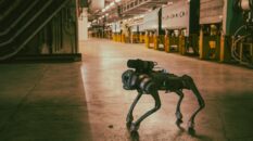 Çernobil’de bile yaşar! Bu robot köpek radyasyon kokluyor!