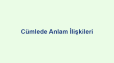 Cümlede Anlam İlişkileri