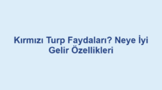 Kırmızı Turp Faydaları? Neye İyi Gelir Özellikleri