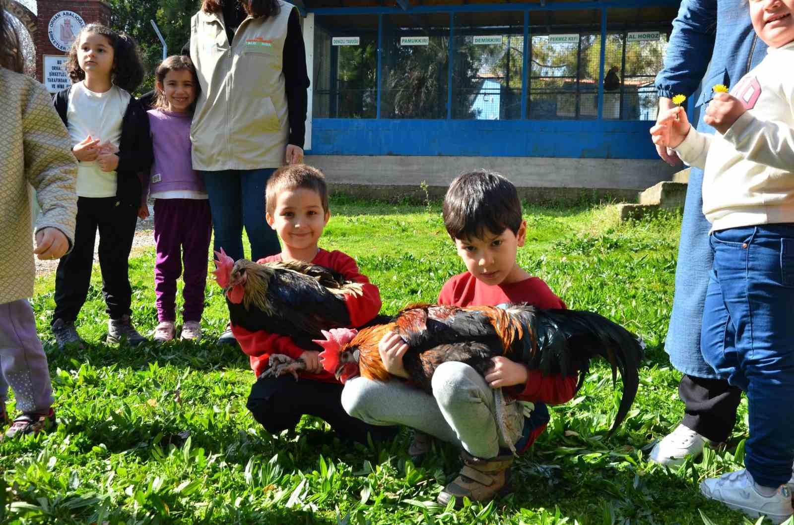 Denizli’de miniklere tarım dersi verildi