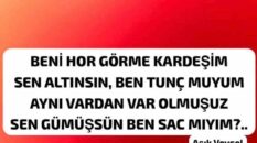 Hulusi Şevkan’dan Aşık Veysel’li gönderme