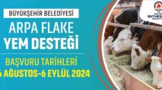 Denizli Büyükşehir büyükbaş hayvan üreticilerine yem desteği sağlayacak