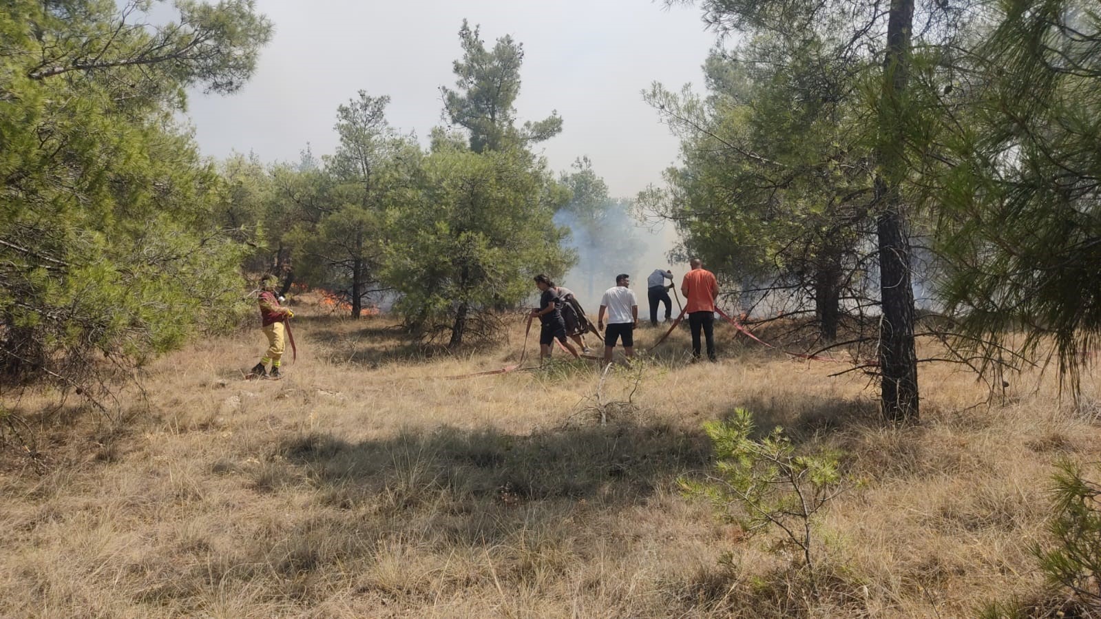 Denizli’de orman yangınına havadan ve karadan müdahale ediliyor