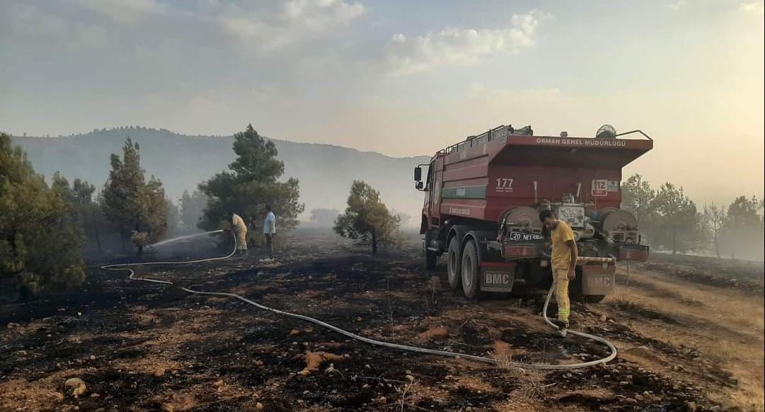 Denizli’de orman yangınına müdahale ediliyor