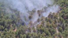 Denizli’de orman yangınına havadan ve karadan müdahale ediliyor